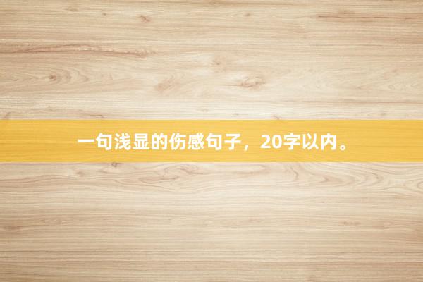 一句浅显的伤感句子，20字以内。