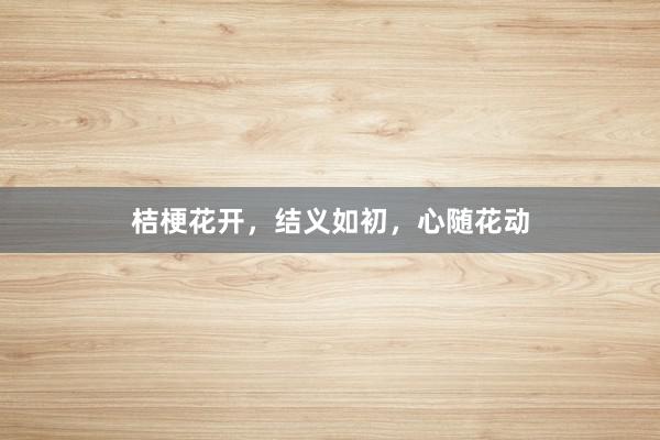 桔梗花开，结义如初，心随花动