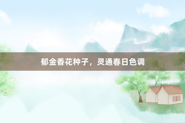 郁金香花种子，灵通春日色调