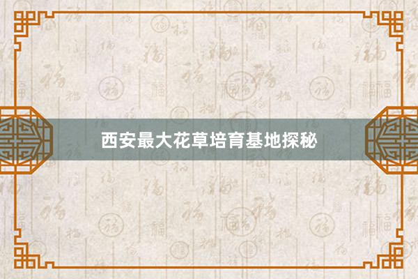 西安最大花草培育基地探秘