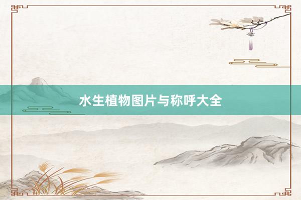 水生植物图片与称呼大全