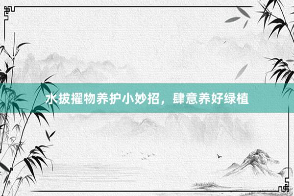 水拔擢物养护小妙招，肆意养好绿植