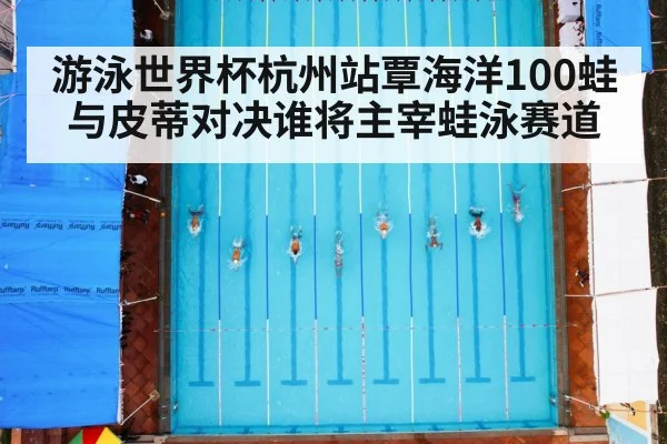 游泳世界杯杭州站覃海洋100蛙与皮蒂对决谁将主宰蛙泳赛道